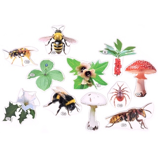 Набор магнитных карточек Лесные опасности? (к плакату Лес, тема 10)