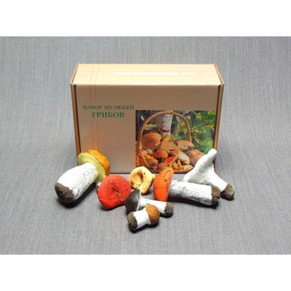 Набор муляжей грибов