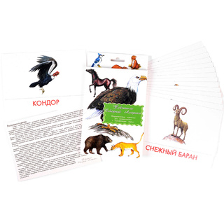 Дидактические карточки "Животные Северной Америки"