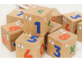 Кубики деревянные со шрифтом Брайля "Цифры" (остатки)
