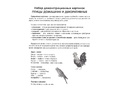 Демонстрационные картинки СУПЕР. Птицы домашние и декоративные (16 шт.) в папке