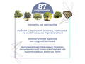 Магнитные карточки Растения России (87 растений)