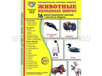 Демонстрационные картинки СУПЕР. Животные холодных широт (16 шт.) в папке.
