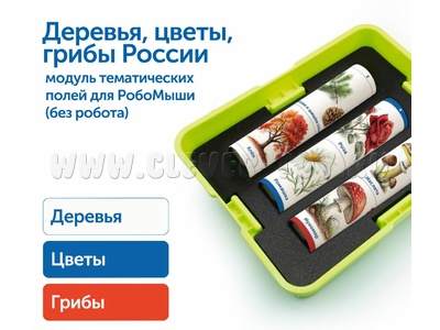 Модуль "Деревья, цветы, грибы России"